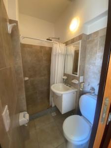a bathroom with a toilet and a sink and a shower at Habitación frente al mar in Mar del Plata