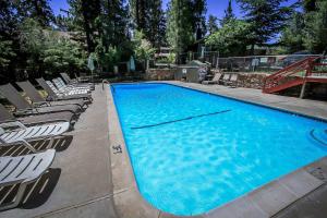a large blue swimming pool with lounge chairs around it at Little Pines Couples Lakeside Cabin by Big Bear Vacations in Big Bear Lake