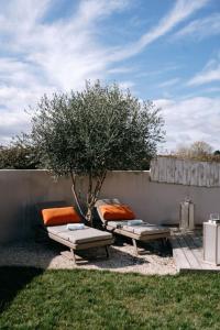 un jardin avec deux bancs et un arbre à côté d'une clôture dans l'établissement Bright Contemporary House - Private Pool, à LʼIsle-sur-la-Sorgue