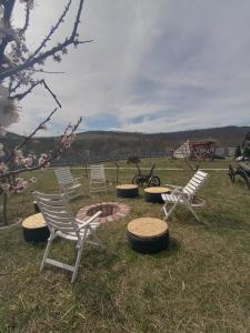 un groupe de chaises et un foyer extérieur dans l'herbe dans l'établissement La Capra Vecinului, à Oglinzi