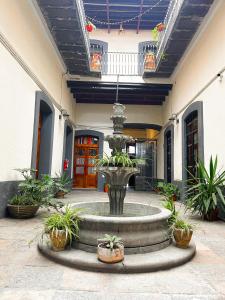 a fountain in the courtyard of a building with potted plants at CASONA ALBARELO in Puebla