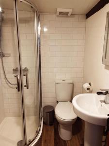ein Bad mit einem WC, einem Waschbecken und einer Dusche in der Unterkunft Holly Cottage in Cartmel