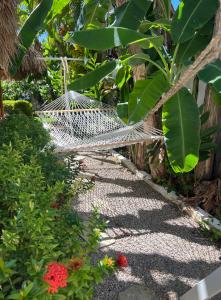 拉斯特拉納斯的住宿－Maloca by Villa Clarissa8，花园里的吊床,种有植物和鲜花
