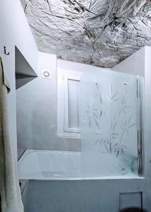 een badkamer met een douche en een plafond met een douche bij Oasis Parfumée 4 couchages in Grasse