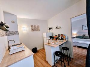 een keuken met een aanrecht en een wastafel in de kamer bij Oasis Parfumée 4 couchages in Grasse