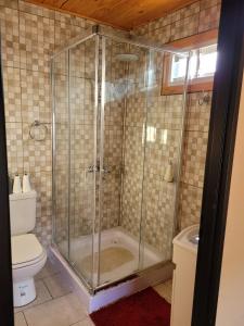 a shower stall in a bathroom with a toilet at CASA PARA 10 PERSONAS, CAFAYATE in Cafayate +28 photos