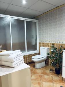 een badkamer met een toilet en een groot raam bij Torrequebrada casino in Benalmádena