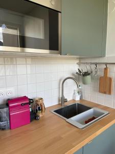 blat kuchenny ze zlewem i blatem w obiekcie Sweet house in Paris w Paryżu