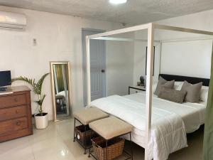 a bedroom with a large white bed and a mirror at Blessed house "cerca del Aeropuerto " in Monte Adentro