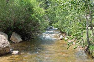 un arroyo de agua con rocas y árboles en Nicky's Resort, en Estes Park