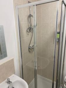 a bathroom with a shower with a toilet and a sink at Oasis Abode @ Ashover Newcastle in Kenton