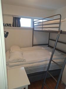 a bedroom with a bunk bed and a ladder at Sólvellir Holiday Home in Kjósahreppur