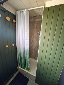 a bathroom with a shower with a shower curtain at Green Farm Stay with private hot tub in Hvolsvöllur