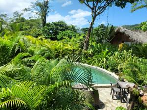 una piscina en un jardín con sillas y árboles en Bungalows India & boutique, El Valle, Samana, en Santa Bárbara de Samaná