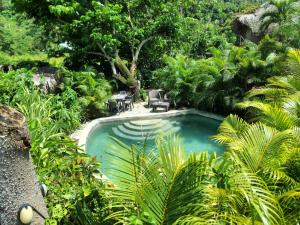 莎曼納聖塔芭芭拉的住宿－Bungalows India & boutique, El Valle, Samana，花园中的一个游泳池