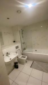 a bathroom with a sink and a toilet and a tub at 310 Arden Gate in Birmingham