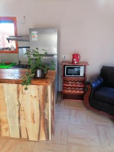 a living room with a refrigerator and a table with a potted plant at Cisnes del tolten in Freire +36 photos