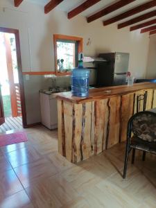 Köök või kööginurk majutusasutuses Cisnes del tolten