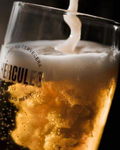 a close up of a glass of beer at Hotel Hércules in Querétaro
