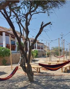 eine Hängematte neben einem Baum neben einem Gebäude in der Unterkunft Casuarinas del Mar Habitacion Cerro 2 in Canoas De Punta Sal