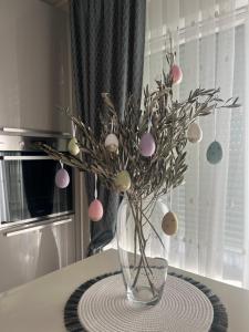 Kuchnia lub aneks kuchenny w obiekcie Apartman Yacht