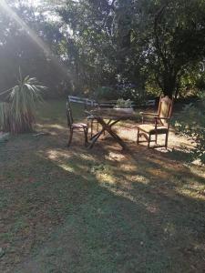 zwei Bänke und ein Picknicktisch in einem Park in der Unterkunft Cisnes del tolten in Freire