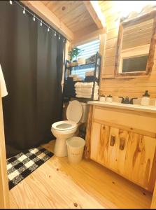 uma casa de banho com um WC e um lavatório em Pond View Cabin near Ark Encounter with Loft em Dry Ridge