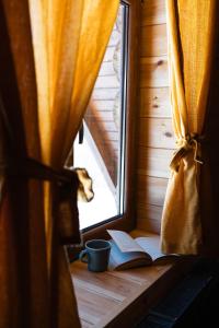 a book and a cup on a window sill with a book at Green Cottage in Râşnov