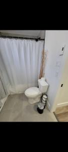 a bathroom with a toilet and a white curtain at L'hêtre au Sommet (gîte) in Sainte Anne des Lacs