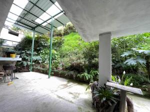 een lege patio met een kas met planten bij Hermoso departamento en el corazón de Papallacta in Papallacta