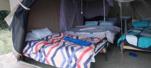 a couple of beds in a tent at Leruk holiday home in Masai Mara