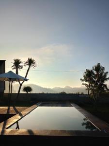 a swimming pool with palm trees and an umbrella at Batur Homestay and Lodge in Bangli