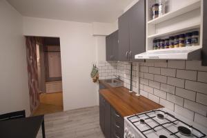 een keuken met een fornuis en een aanrecht bij Anne Apartment - 1 Bedroom + Balcony in Tartu