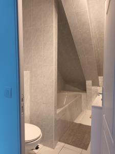 La salle de bains est pourvue de toilettes et d'une baignoire. dans l'établissement T2 Cozy Rungis - 15min de Paris !, à Rungis