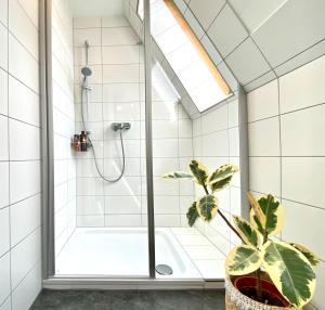 a bathroom with a shower and a potted plant at Altstadt Apartment mit Tiefgarage und Bergblick in Füssen