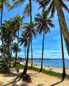 a group of palm trees on a beach at São Salvador Guest House in Salvador