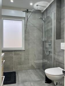 uma casa de banho com um chuveiro e um WC. em Pension zum Ahrblick em Sinzig