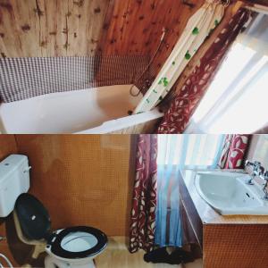 a bathroom with a toilet and a sink at Houseboat wild rose in Srinagar