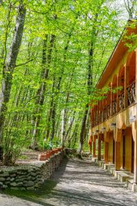 einen Weg im Wald neben einem Gebäude in der Unterkunft Aynur Resort in Quba