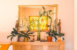 Φωτογραφία από το άλμπουμ του Celia's House στην Πρέβεζα