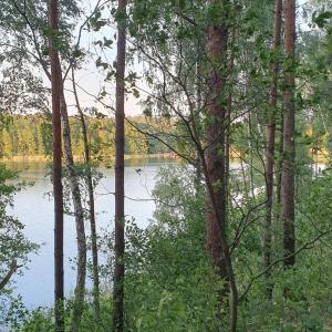 uma vista para um lago através das árvores em Siedlisko U Ani em Skrzynki