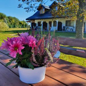 a pot of flowers sitting on a wooden table at Siedlisko U Ani in Skrzynki