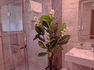 Imagen de la galería de Newlands Court Motel, en Wellington