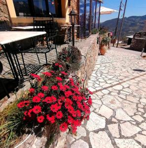 a bunch of red flowers on a stone wall at The Nest Filoxenia in Kato Trikala Korinthias