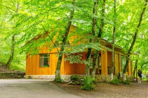 ein Haus mitten im Wald in der Unterkunft Aynur Resort in Quba