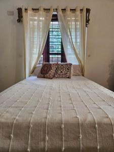 Heligans Yard - LADIES ONLY في فاركَالا: سرير في غرفة نوم مع نافذة كبيرة