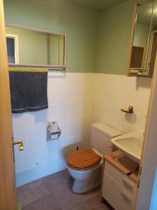 a bathroom with a toilet and a sink at Seeblick in Aeschlen