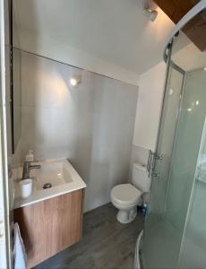 a bathroom with a toilet and a sink and a shower at Appartement bord de mer 2 personnes in Sagone