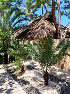 two palm trees in front of a building at Eden Eco Resort in Gili Trawangan