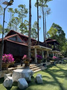 a house with rocks in front of it at Paradise on the Tree in Cat Tien